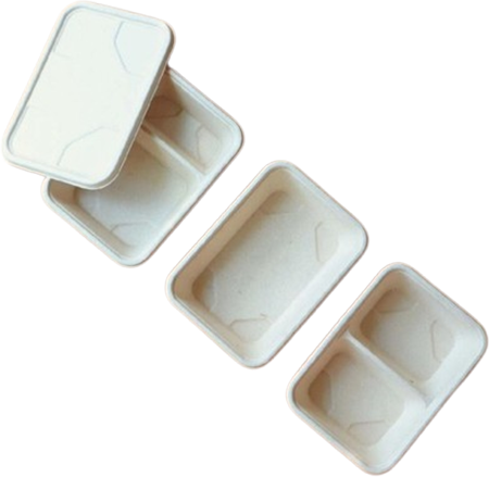 Takeaway Boxes Rectangle