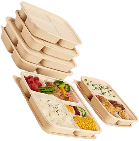 Meal Tray with Lid